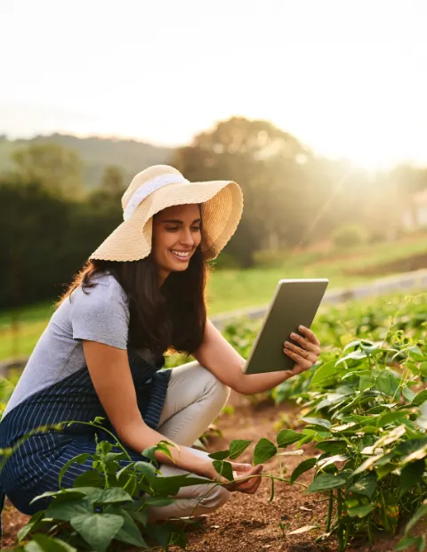 online Agricultural course, Australian certification